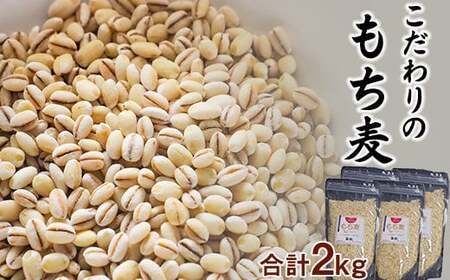 岩手県産 もち麦 はねうまもち 2kg （500g×4袋） 【 十一代目藤助】 ／ もちむぎ 雑穀 雑穀米 2キロ もち麦ご飯 ご飯 ごはん 麦ごはん 麦ご飯 お粥 おかゆ 主食 混ぜるだけ 混ぜて炊くだけ 簡単 小分け 便利 ジッパー付き 農家直送 産地直送