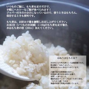 岩手県産 もち麦 はねうまもち 1kg （500g×2袋） ／ 十一代目藤助 雑穀 産地直送 農家直送