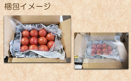 【2026年7月上旬発送開始予定】 岩手県産 こだわり 大玉トマト 約2kg ／ 大玉 とまと トマト 新鮮 大玉とまと 旬 サラダ トマトジュース 夏野菜 旬野菜 季節野菜 期間限定 季節限定 野菜 お野菜 産地直送 農家直送 美味しい おいしい 人気 八幡平市産 国産 おすすめ オススメ 【田村和大】