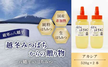 【 八幡平産 】 アカシア 蜂蜜 非加熱 520g × 2本 ／ はちみつ ハチミツ ハチ蜜 ハニー あかしあ アカシヤ あかしや 国産 岩手県産 プレゼント ギフト 贈り物 お土産 手土産 常温発送 紅茶 コーヒー ホットミルク ヨーグルト ホットケーキ アイス パン 人気 おすすめ 【高橋養蜂