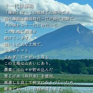 【令和7年産】 新米 11月上旬発送開始予定 いわてっこ 玄米 10kg ／ 十一代目藤助 こめ 米 コメ お米 おこめ ご飯 ごはん げんまい おにぎり お取り寄せ 産地直送 農家直送 単一原料米 国産 国産米 東北 岩手県産 八幡平市産 数量限定 おすすめ