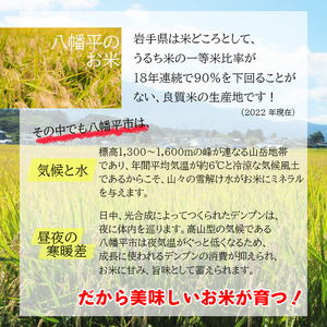 【令和7年産】 いわてっこ 玄米 30kg ／ 十一代目藤助 こめ 米 コメ お米 おこめ ご飯 ごはん げんまい おにぎり お取り寄せ 産地直送 農家直送 単一原料米 国産 国産米 東北 岩手県産 八幡平市産 数量限定 おすすめ