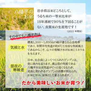 【八幡平市産】 いわてっこ 玄米 5kg ／  十一代目藤助 米 産地直送 農家直送