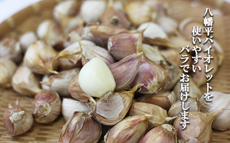 オーガニックにんにく 八幡平バイオレット 500g（バラ） ／ すばるファーム ニンニク 大蒜 野菜 産地直送