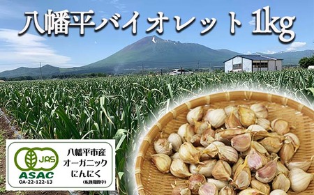 オーガニックにんにく 八幡平バイオレット 1000g（バラ） ／ すばるファーム ニンニク 大蒜 野菜 産地直送 | 岩手県八幡平市 |  ふるさと納税サイト「ふるなび」