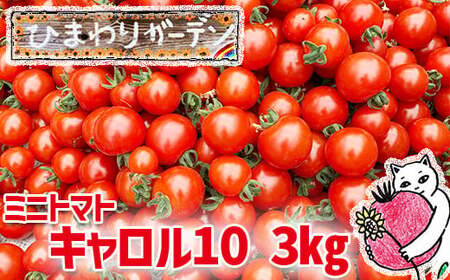 ミニトマト　10kg キャロル10 【糖度9以上】北海道産　農家直送