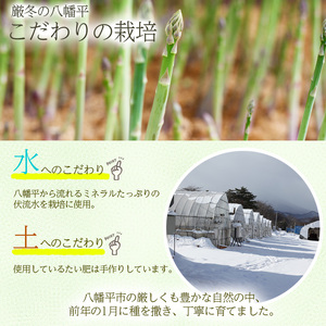 【早期予約承り中！2026年1月発送開始予定】 岩手県産 甘い！ 朝採れ グリーンアスパラガス 600g （200g×3束） ／ アスパラガス グリーンアスパラガス グリーンアスパラ アスパラ 新鮮 採れたて 産地直送 農家直送 野菜 美味しい 期間限定 季節限定 おすすめ オススメ 【田村和大】