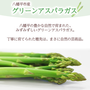 岩手県産 甘い！ 朝採れ グリーンアスパラガス 1.2kg（200g×6束） ／ アスパラガス グリーンアスパラガス グリーンアスパラ アスパラ 新鮮 採れたて 産地直送 農家直送 野菜 美味しい 期間限定 季節限定 おすすめ オススメ 【田村和大】