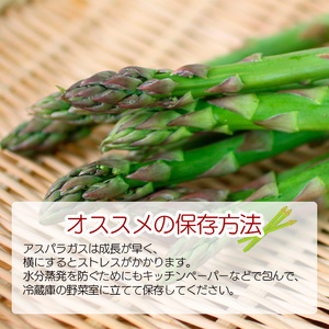 岩手県産 甘い！ 朝採れ グリーンアスパラガス 1.2kg（200g×6束） ／ アスパラガス グリーンアスパラガス グリーンアスパラ アスパラ 新鮮 採れたて 産地直送 農家直送 野菜 美味しい 期間限定 季節限定 おすすめ オススメ 【田村和大】