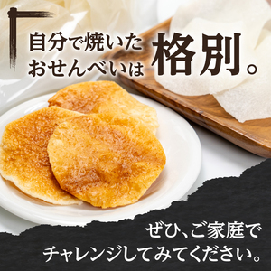 おうちでおせんべい屋さん×5袋 [R0016]