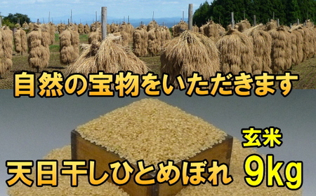 【玄米9kg】天日干しひとめぼれ 令和6年産 玄米9キロ【14日以内発送】 [AC048]