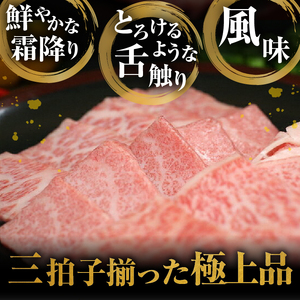 【冷凍】 前沢牛 贅沢三昧 (カルビ100g・上カルビ100g・ロース100g) ブランド牛肉 国産 国産牛 牛肉 お肉 冷凍 [U0199]