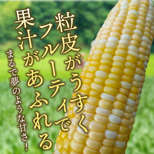 【先行予約】とうもろこし ドルチェドリーム10本 【数量限定】 2025年7月下旬から出荷 離島配送不可 [T0017]