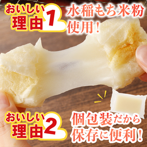 もっちり生きりもち 10kg [AV016]