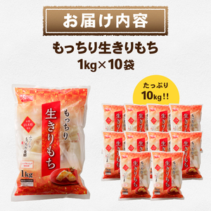 もっちり生きりもち 10kg [AV016]