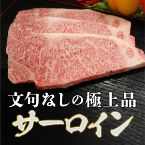 【冷蔵】 前沢牛 食べ比べ フィレステーキ150g サーロインステーキ200g セット 離島配送不可 [U0200]