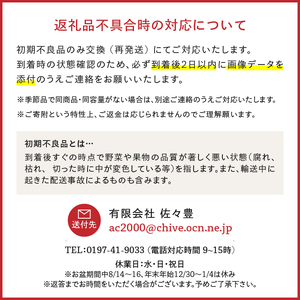 奥州市産りんご 赤い誘惑「サンふじ＆シナノゴールド」約2.5kg　8-10玉 [AQ083]