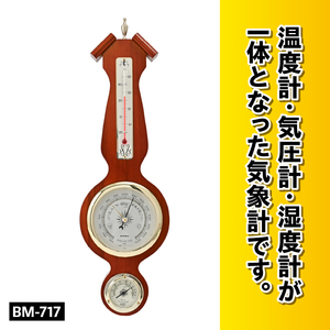 アメリカーナ気象計 BM-717 [AJ056]