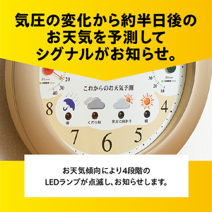 ウェザーパル・1台4役 BW-5238 [AJ062]