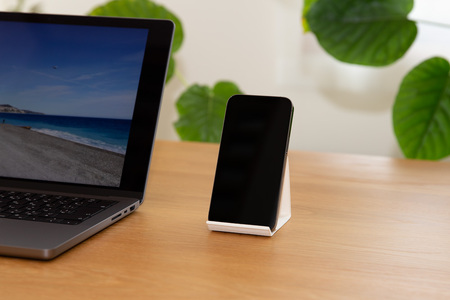 【ふるなび限定】 和紙のスマホスタンド iPhone 16 Pro 対応 2個セット ホワイト 岩手県奥州市産 バンドシー Bandc for iPhone 16, 15, 14, 13, 12, 11, XS, SE FN-Limited-SP [AR195]