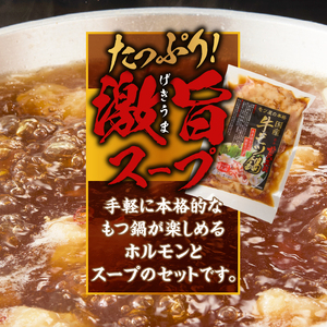 国産牛 もつ鍋 2～3人前×5パック  [BX001]