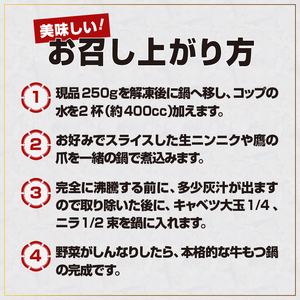 国産牛 もつ鍋 2～3人前×5パック  [BX001]