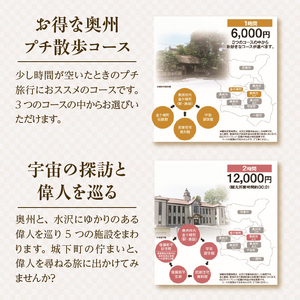 胆江地区タクシー乗車券 3,000円(金券) [BA005]