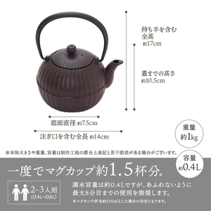 くつろぐお茶セット【紫（南部鉄器急須カラー） 0.4L】 [RE016]