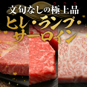 【冷凍】 前沢牛 ステーキ 贅沢三昧 ヒレ 100g ランプ 100g×2 サーロインハーフ 100g×2 食べ比べ [U0208]