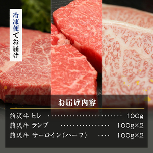 【冷凍】 前沢牛 ステーキ 贅沢三昧 ヒレ 100g ランプ 100g×2 サーロインハーフ 100g×2 食べ比べ [U0208]