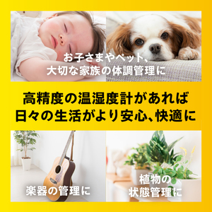 エクストラ温・湿度計 TM-6202 [AJ118]
