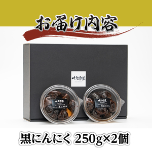 まるで果実みたいな ジューシー黒にんにく 250g×2個 [CA001]