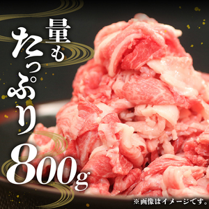 【冷凍】前沢牛 切り落とし 800g 複数部位 ミックス 赤身 サシ 極上品 さまざまな味わい 焼肉 ごはん おかず クール便 [U0213]