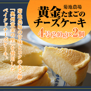 菊地農場 黄金たまごのチーズケーキ　4号サイズ（240g）×2個 [AB001]