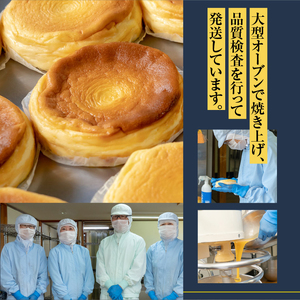 菊地農場 黄金たまごのチーズケーキ　4号サイズ（240g）×2個 [AB001]