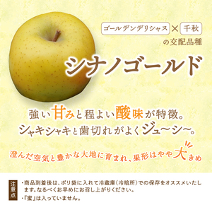 お試し用 江刺りんご 「シナノゴールド」 6個 [AQ094]
