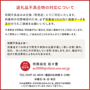 お試し用 江刺りんご 「シナノゴールド」 6個 [AQ094]