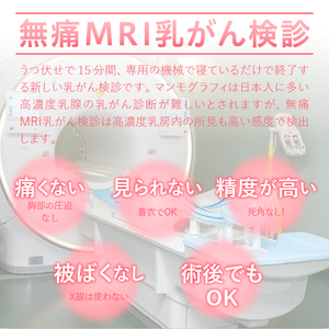 【ふるさと納税】 無痛MRI乳がん検診利用券 [BM003]