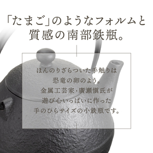 南部鉄器 鉄瓶たまご形 0.55L [Z0044]