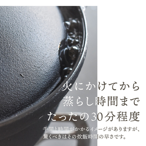 南部鉄器 南部ごはん釜2合炊 [Z0045]