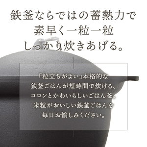 南部鉄器 南部ごはん釜3合炊 [Z0046]