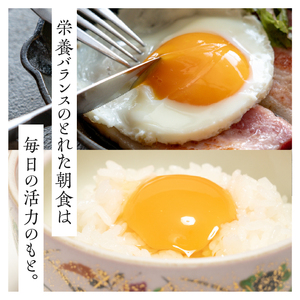 こだわりの卵「イーハトーヴの四季」と卵かけ醤油付き「朝食たまご」のセット【常温】 [J0013]