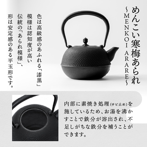 南部鉄器 『鉄瓶・瓶敷セット』 めんこい寒梅あられ〜MENKOI ARARE〜 0.9L 伝統工芸品 直火 ガスレンジ IH調理器 やかん ケトル 鍋敷き キッチン用品 食器 日用品 雑貨 鉄分補給 [BE017]