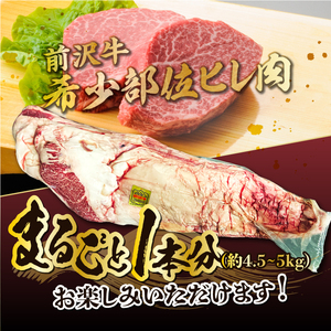 【冷凍】 前沢牛 ヒレ ステーキ 1本分 4.5~5kg オーダーカット [ME018]