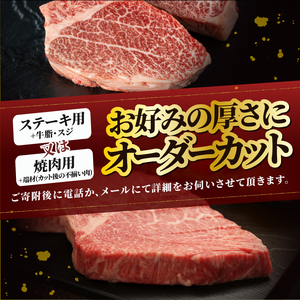 【冷凍】 前沢牛 ヒレ ステーキ 1本分 4.5~5kg オーダーカット [ME018]