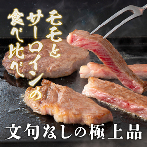 前沢牛ステーキ食べ比べ 合計480g（サーロイン・モモ 各120g×2枚） ブランド牛肉 離島配送不可 [U0074]