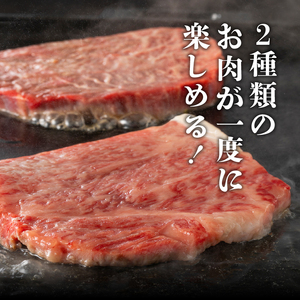 前沢牛ステーキ食べ比べ 合計480g（サーロイン・モモ 各120g×2枚） ブランド牛肉 離島配送不可 [U0074]