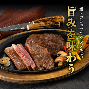 前沢牛ステーキ食べ比べ 合計480g（サーロイン・モモ 各120g×2枚） ブランド牛肉 離島配送不可 [U0074]