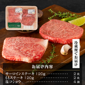 前沢牛ステーキ食べ比べ 合計480g（サーロイン・モモ 各120g×2枚） ブランド牛肉 離島配送不可 [U0074]