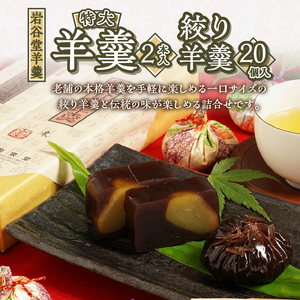 菊泉堂の岩谷堂羊羹 特大2本・絞り羊羹 20個詰め合わせ 伝統和菓子 [V0006]